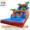 Young People Inflatable Slide and Bouncer for Indoor Playground