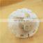 Fuel filter fit for Daihatsu Hajet
