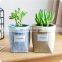 Cute Classic design decorative plant bag felt