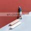Manufacturer Wholesale ABS Three Colors Pet Cat Hair Remover Ice Cream Design