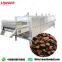 Hot Sale Cocoa Bean Roasting Equipment Cacao Bean Roaster for Sale