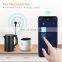 EU standard OEM Shunt dual control  voice control timing switch Smart life smart socket WiFi smart socket