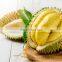 Premium Durian From The nature Of Vietnam