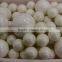 High Density Zirconia Beads