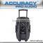 Loudspeaker Manufacturer Of Professional Speaker PMK15AMFQ-V2BP-BT