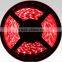 cristmas led tape gh Quality 3528 Led Strip Light gh Quality 3528 Led Strip Light gh Quality 3528 Led Strip Light