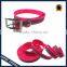 Reflevtive Plastic Dog Lead Durable Dog Lead
