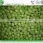 IQF frozen green peas