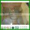 low price stainless steel circle from China manufacturer