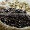 VIETNAM BLACK PEPPER 500 GL FOR EXPORT