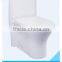 Hot sale siphonic washdown one piece toilet wholesaler from China
