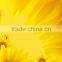 Top Quality Digital Printing 6mm Glass Sheet Price