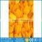 Customized Design Safety Digital Printing Sheet Glass