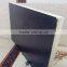 film faced plywood/shuttering plywood for construction
