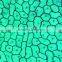 18pcs Indonesia biological microscope educational prepared slides