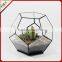 Vintage Diamond Shaped Glass Plants Terrarium Geometric For Indoor Decor/Clear Glass Terrarium