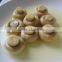 Canned Mushrooms