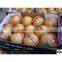 Chinese new fresh honey pomelo