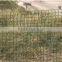 Low carbon steel chain link fence