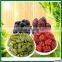 Hot! Professional Manufacture for mini vegetable dryer machine