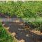 PP weed block landscape fabric mesh