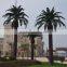 artificial date palm tree