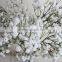 2016 Factory direct baby's breath starry sky islamic wedding bouquet favors hobby lobby wholesale flowers