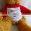 Custom soft teddy bears with flexible joint arms and legs