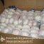 New Crop Fresh Jinxiang Normal White Garlic 5cm And Up In Carton Box Packing