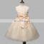 White Flower Girl Dress Tulle Tutu Sleeveless Wedding Dress Christening Maxi Gown