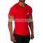 Apparel Men's Gym Short sleeve bodybuilding fitness t-shirt