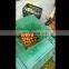 Fresh Walnut nuts green skin Cleaning and Peeling Machine green walnut peeler machine price
