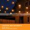 New Energy Garden Solar G40 Led Lights Outdoor Decorative 3W Solar Panel