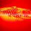 High CRI brightness 5 in 1 RGBW WW led light strip DC12V DC24V IP20 IP67 IP65