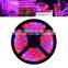 DC12V 300LEDS 5Meters Per Roll Red:Blue 3:1,4:1,5:1 Led Grow Strip Tube Light