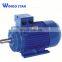 0.55kw y2 Series Three-Phase Asynchronous Induction Electrical Motor