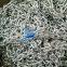 Hatch board chains in stock