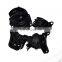 Transmission Engine Motor Mount Kit AT Trans FOR 98-02 Honda Accord 2.3L