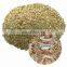 Agriculture High Mineral Protein Animal Feed Crab Shell Powder For Cattle Chicken Dog Fish Horse Pig