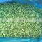 Sinocharm BRC Approved 20*20mm Fresh Crisp Frozen Green Pepper Piece IQF Cut Green Pepper