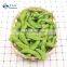 Salty Frozen Edamame in Pod Soya Beans in Shell Pod