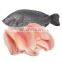 IQF Frozen Black Tilapia Fish