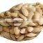 New Crop GWS Pumpkin Seeds Price A/AA/AAA Grade  in Bulk Price for south africa