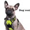 Pet reflective chest strap / pet traction rope / dog rope / dog vest / Pet vest / chest strap