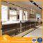 Top sale wooden glasses display showcase wall mounted eyeglass display cabinet
