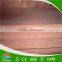 Hard Wood Plywood
