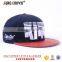 custom 3d embroidery 6 panel snapback cap