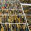 Tiger Eye Yellow Granite for Wholesale