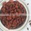 Dalian EASTDAWN Goji Berries Dried