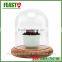 Bell Jar With Wooden Base Clear Glass Dome Stand